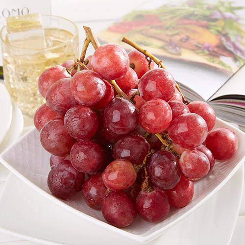 九游网页客户端产品名称八